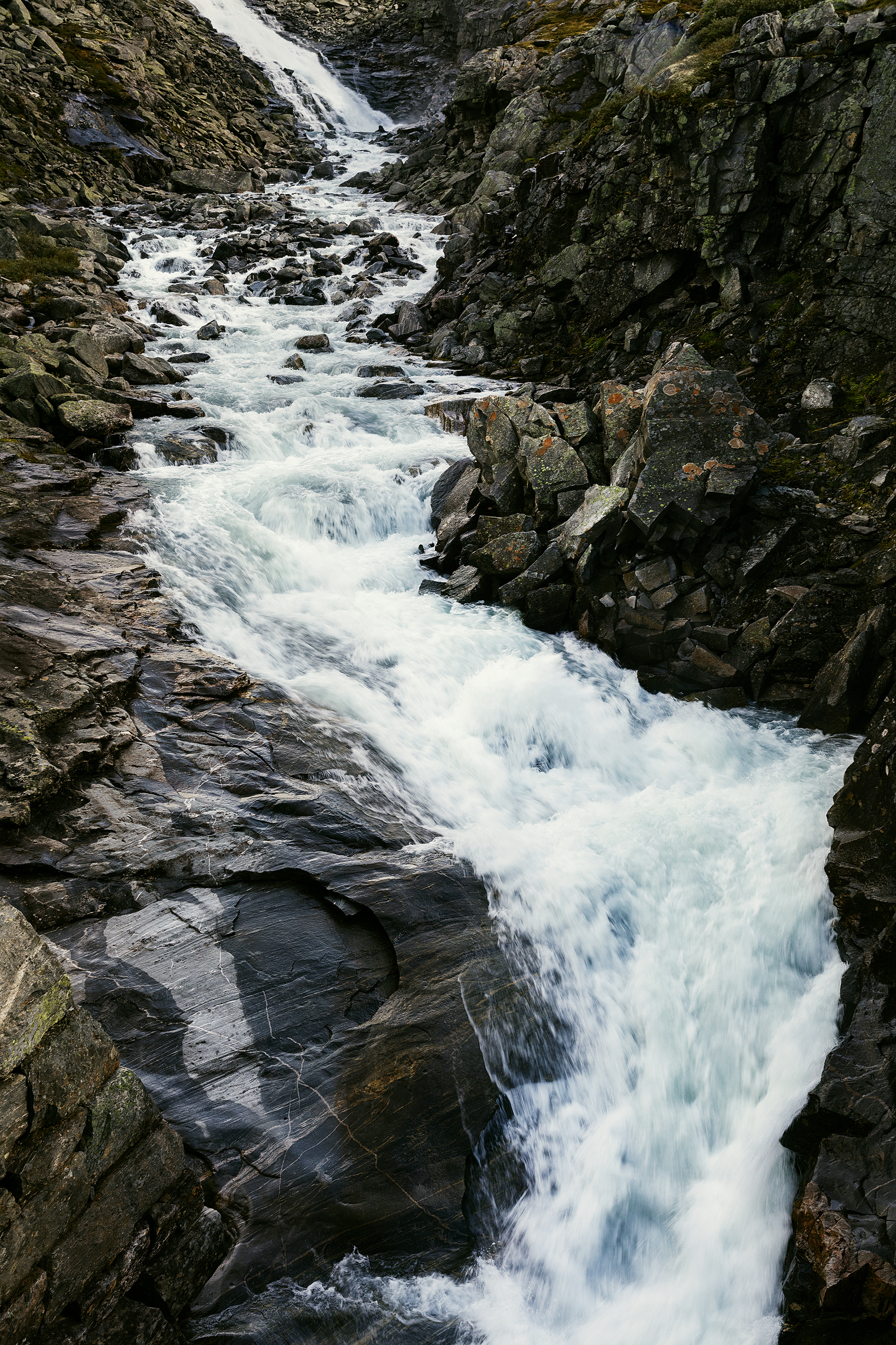 Norge drar nytte av et kaldt klima og en ren og rik natur, og gårdene ligger spredt over hele landet.